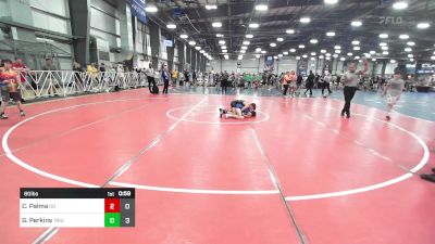 80 lbs Rr Rnd 2 - Cole Palma, Ohio Gold vs Greyson Perkins, Triumph Maize