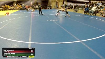 65 lbs Semis & 1st Wrestleback (8 Team) - Jace Arndt, LCWM vs Calvin Jares, BHVPP