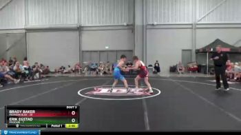 100 lbs Quarterfinals (8 Team) - Brady Baker, Michigan Blue vs Erik Egstad, Missouri