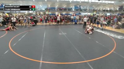 132 lbs Champ. Round 1 - Brandon Halsey, Unattached vs Tyler Turnbaugh, Unattached