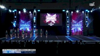 WIDC - SUPER FREEZE [2026 L2 Youth - D2 - Small - B DAY 2] 2026 JAMfest Cheer Super Nationals