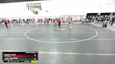 113 lbs Champ. Round 3 - Alex Valentin, Lane Tech (IL) vs Gavin Slark, Markesan