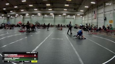 113 lbs Cons. Round 2 - Emmons Tewalt, Hanover Hawkeye vs Nico Cassano, Bitetto Trained Wrestling Club