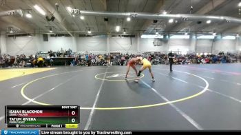 138 lbs Quarterfinal - Isaiah Blackmon, Lewis - Palmer vs Tatum Rivera, Pueblo East