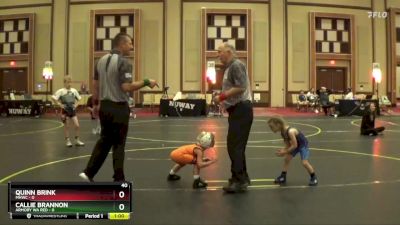 40 lbs Finals (8 Team) - Quinn Brink, MHWC vs Callie Brannon, Armory WA Red