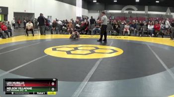 70 lbs Round 1 (8 Team) - Nelson Villafane, Mat Assassins (PA) vs Leo Murillo, Steller Trained