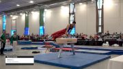 Aidan Li - Pommel Horse, Rideau Gymnastics - 2019 Canadian Gymnastics Championships