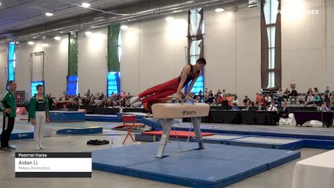 Aidan Li - Pommel Horse, Rideau Gymnastics - 2019 Canadian Gymnastics Championships