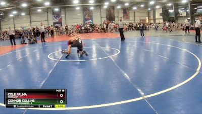 84 lbs Rd# 4- 2:00pm Friday Final Pool - Connor Collins, Backyard Brawlers vs Cole Palma, Rebellion