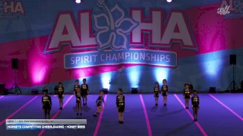 Hornets Competitive Cheerleading - Honey Bees [2025 L1 - Rec Performance Elite - 6Y] 2025 Aloha Trenton Showdown