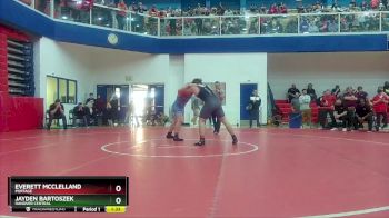 215 lbs Quarterfinal - Everett Mcclelland, Portage vs Jayden Bartoszek, Hanover Central