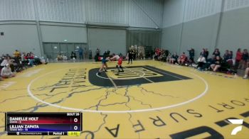 106 lbs 4th Wrestleback (16 Team) - Danielle Holt, Idaho vs Lillian Zapata, Texas Red