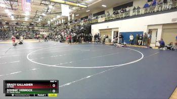 132 lbs Quarterfinal - Dominic Viebrock, St. Croix Falls vs Grady Gallagher, De Pere