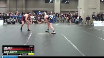 197 lbs 2nd Wrestleback (16 Team) - Dylan Vodicka, Nebraska-Kearney vs Joel Leise, Gannon