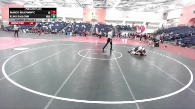 133 lbs Champ. Round 1 - Marco Milkanovic, Utica vs Elias Salloum, Pitt-Bradford