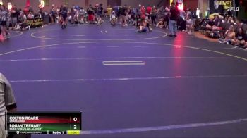 155 lbs Round 5 - Colton Roark, Unattached vs Logan Trenary, Moen Wrestling Academy