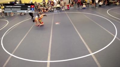 132 lbs Cons. Semis - Ashton Charmoli, Pinnacle vs Ezekiel Rodrigues, Wayzata