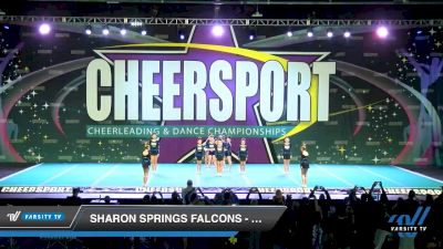Sharon Springs Falcons - Falcons [2020 Performance Rec. 12 & Younger L1 Day 2] 2020 CHEERSPORT National Cheerleading Championship