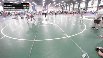 132 lbs Rr Rnd 2 - Cole Fogle, Hammerin Hornets vs Anthony Mucci, Micky's Maniacs Blue