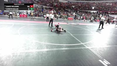 87 lbs Champ. Round 2 - Carsyn Kallas, New London vs Vance Williams, Pulaski Wrestling Club