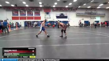 184 lbs Semifinal - Brandon Tessau, Wisconsin-Platteville vs Maguire Pecci, Chicago