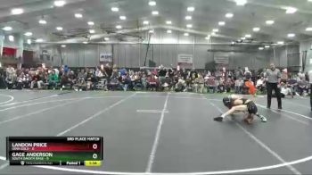 113 lbs Placement Matches (8 Team) - Landon Price, Iowa Gold vs Gage Anderson, South Dakota Rage