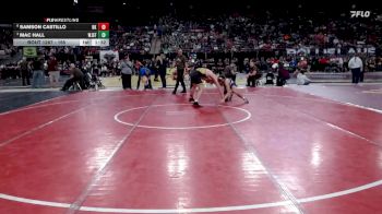 165 lbs Quarterfinal - Mac Hall, West Jefferson vs Samson Castillo, Bishop Kelly