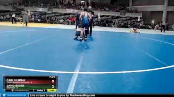 95 lbs Semis (4 Team) - David Bauer, Hastings vs Carl Murray, Z-M (Zumbrota-Mazeppa)