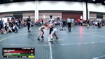 75 lbs Semifinal - Cameron Bartlow, Team Palmetto vs Levi Stanley, Roundtree
