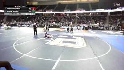 132 lbs Quarterfinal - Taylor Aiello, Town Of Huntington-11 vs Aubree Dignean, Phoenix-3