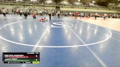 100 lbs Cons. Round 2 - Greyson Andersen, Webb City Youth Wrestling Club-AAA vs Aaron Berry, West Platte Youth Wrestling Club-AA