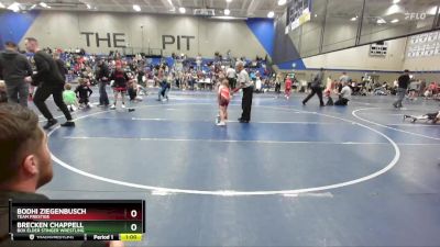 55 lbs Cons. Round 3 - Bodhi Ziegenbusch, Team Prestige vs Brecken Chappell, Box Elder Stinger Wrestling