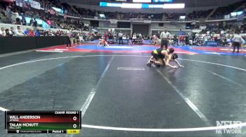 6A 144 lbs Champ. Round 1 - Will Anderson, Athens vs Talan McNutt, Pell City