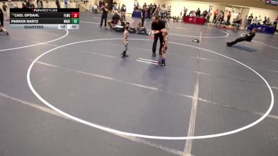 10U - 49 lbs Quarters - Cael Opsahl, Forest Lake Wrestling Club vs Parker Bartz, Waseca