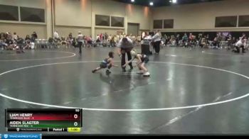 50 lbs Finals (2 Team) - Liam Henry, Tennessee Blue vs Aiden Slagter, Tennessee Red