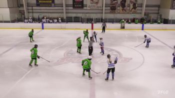 Replay: Home - 2025 Team One U16 vs Bearcat Grn | Jun 6 @ 6 PM