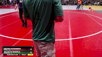 80 lbs Semis & 1st Wrestleback (8 Team) - Dexter Schoenberg, Sartell vs Brooklyn Binsfeld, Paynesville