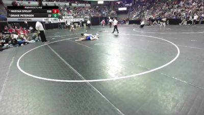 D2-165 lbs Semifinal - Tristan Steldt, Fennimore vs Drake Petersen, Saint Croix Falls