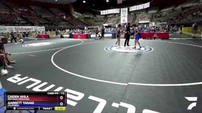 113 lbs Quarterfinal - Caiden Avila, Red Wave Wrestling vs Garrett Yanagi, California