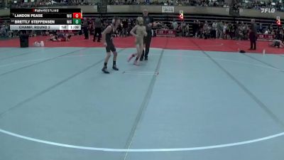 75 lbs Champ. Round 2 - Brettly Steffensen, Flat Earth Wrestling Club vs Landon Pease, Team Nazar