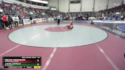 124 lbs Quarterfinal - Trevor Middendorf, Newark Valley Sr HS vs Justin Castillo, St Anthonys