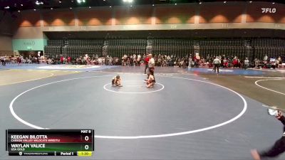 57-60 lbs Round 3 - Waylan Valice, USA GOLD vs Keegan Bilotta, Carson Valley Wildcats Wrestli