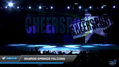 Sharon Springs Falcons [2019 Youth 1 Recreation Day 2] 2019 CHEERSPORT Nationals