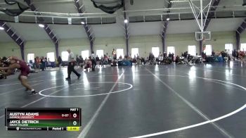 157 lbs Cons. Round 3 - Jayce Dietrich, Hiram College vs Austyn Adams, Gannon University