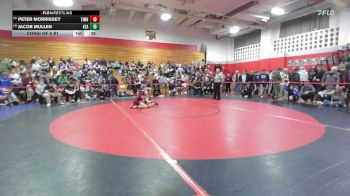 132 lbs Consi Of 8 #1 - Peter Morrissey, Timberlane vs Jacob Mullen, Kearsarge