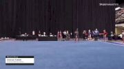 Emerson Faleide - Women's Group, American Gold Gymnastics - 2021 Women's Xcel Region 4 Championships