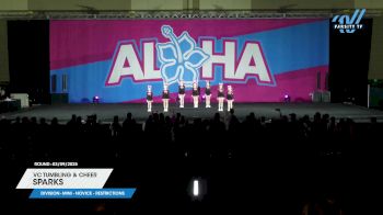 VC Tumbling & Cheer - Sparks [2025 L1 Mini - Novice - Restrictions 03/09/2025] 2025 Aloha Indy Showdown