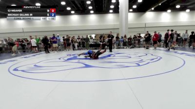 100 lbs Cons. Round 1 - Cj Weaver, TN vs Michiah Gillins Jr, FL