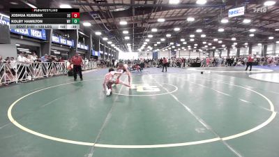 138 lbs Consi Of 64 #2 - Joshua Kubinak, SC vs Kolby Hamilton, WY