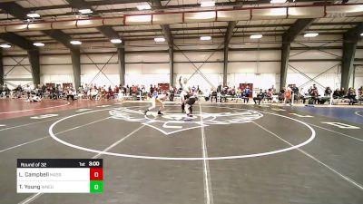 133 lbs Round Of 32 - Liam Campbell, Massachusetts vs Trevor Young, Western New England